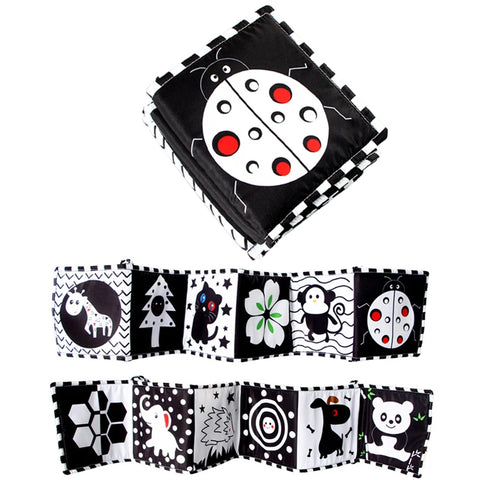 Black and White Books For Baby Ladybug