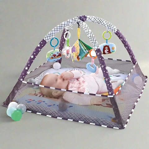 Baby Activity Gym & Playmat Purple